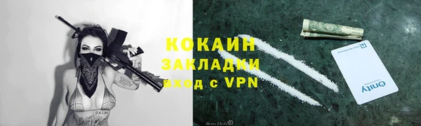 соль ск Бородино
