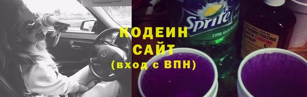соль ск Бородино