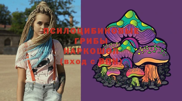 соль ск Бородино