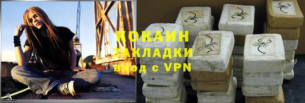 соль ск Бородино