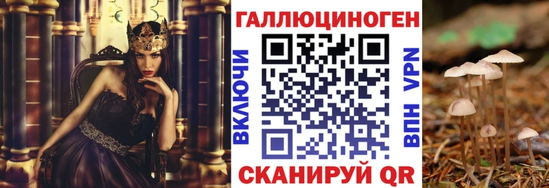 Псилоцибиновые грибы GOLDEN TEACHER  Люберцы 